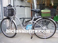 ecobici libellula modificata