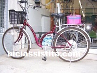ecobici libellula modificata